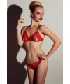 Kırmızı Dantelli Fantazi Sütyen ve G-String Takım TM2048