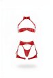 Kırmızı Jartiyer Harness Parlak Deri Fermuarlı Takım - Brf1373